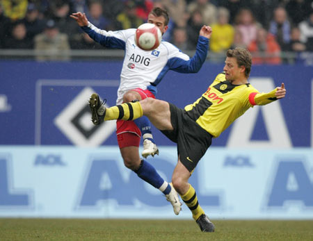 提供了一个 提供了一个